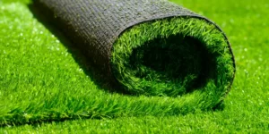 Artificial Grass 2022