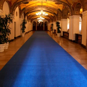 Blue carpet runner inside grand hallway