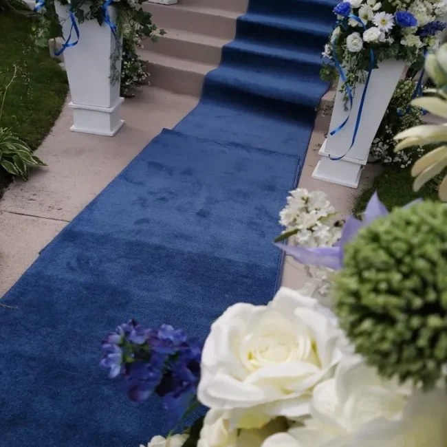 Blue exhibition carpet runner along outdoor steps