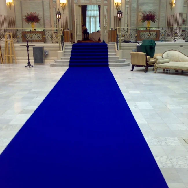 Blue exhibition carpet runner leading to stairs