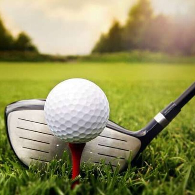 Golf Grass 2022 Dubai