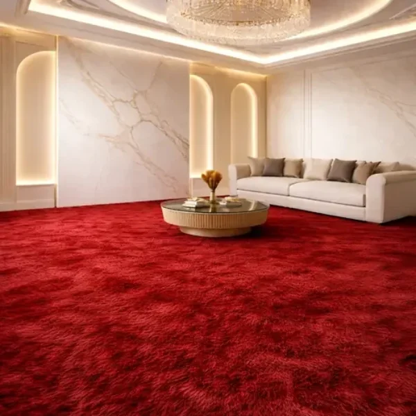 Residential red carpet Service